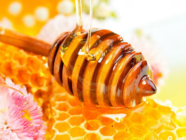 Россельхознадзор нашёл в Перми мёд с антибиотиками
