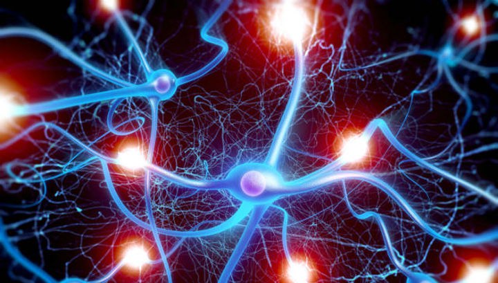 Пермячка создала уникальную нейросетевую систему