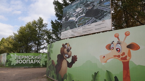 Концепция по оформлению зоопарка Перми обойдётся в 150 тысяч евро
