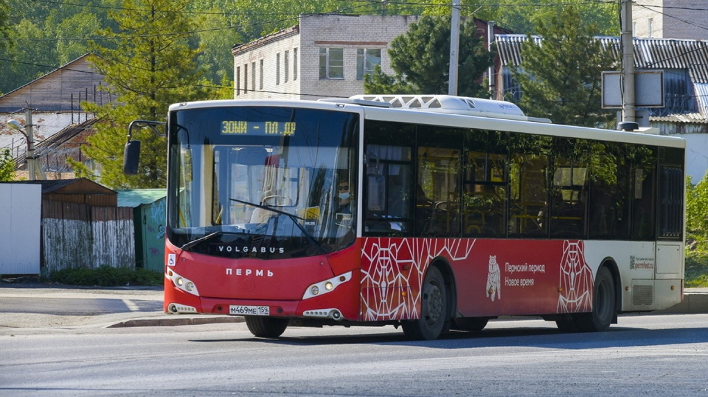 Власти Перми планируют дальше сокращать количество автобусных маршрутов